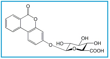 Urolithin B Glucuronide